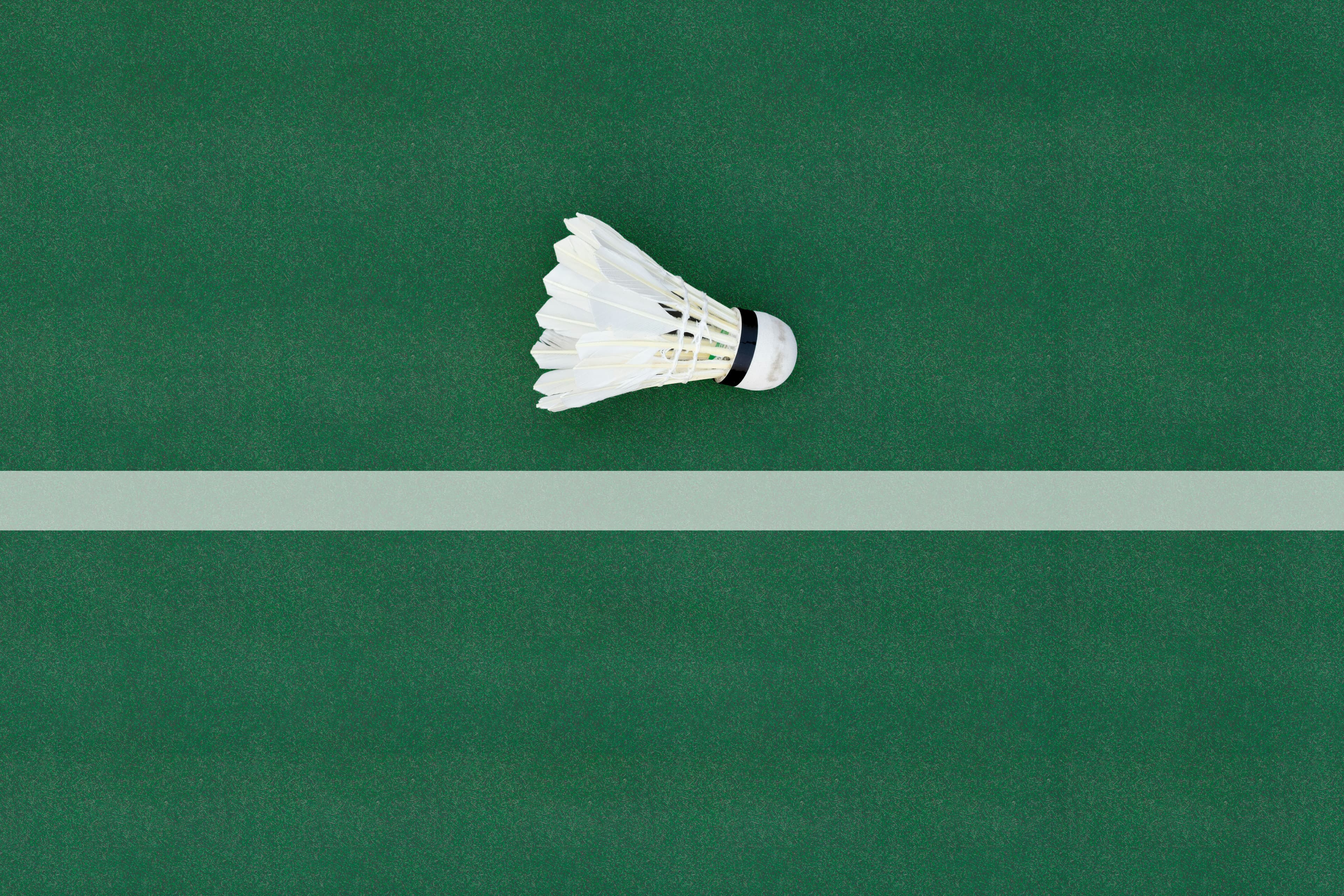 Badminton court